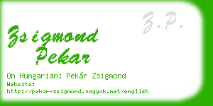 zsigmond pekar business card