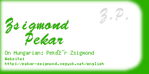zsigmond pekar business card